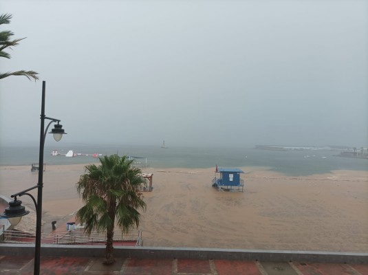 Las lluvias en la Región dejan árboles caídos y Mazarrón se lleva la peor parte