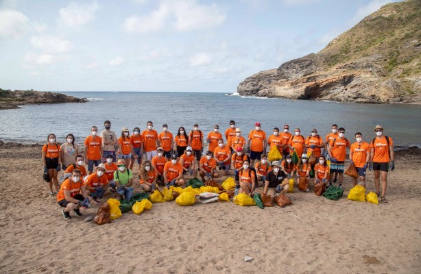 Soltec y ANSE limpian Cala Reona en una iniciativa promovida por La Mar de Músicas