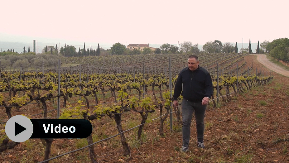 Clos d’Esgarracordes Tinto Crianza by Sergio Garrido en Les Useres