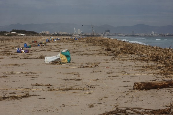 Los efectos de la Dana en L'Albufera de València y las playas