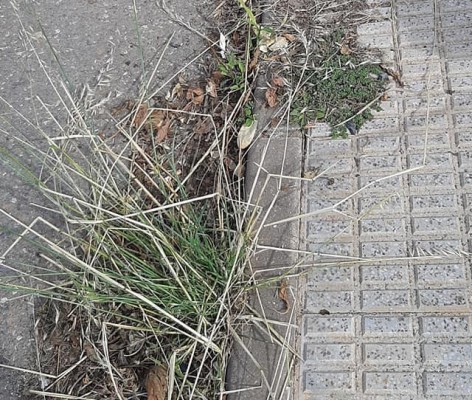 Residentes en Los Urrutias denuncian suciedad y abandono en las calles del litoral
