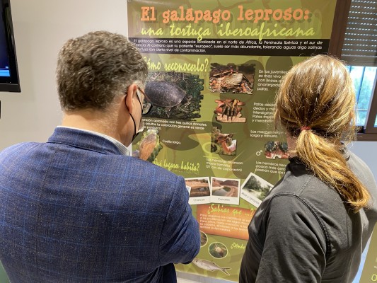 Los galápagos autóctonos, protagonistas de una exposición en el Centro de Visitantes de La Contraparada
