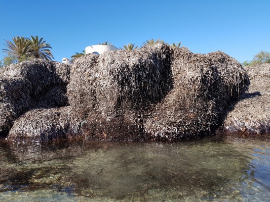 De lo natural a lo negligente: los vecinos de La Manga denuncian el abandono de las playas de Esculls y Encañizadas

