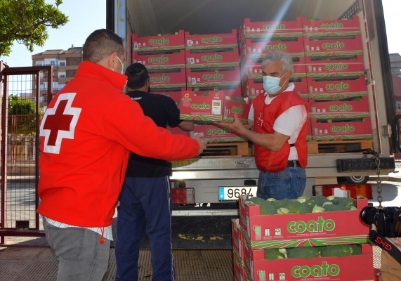 Brócoli ecológico y solidario para familias en riesgo de exclusión: Coato dona 1.300 kilos a Cruz Roja
