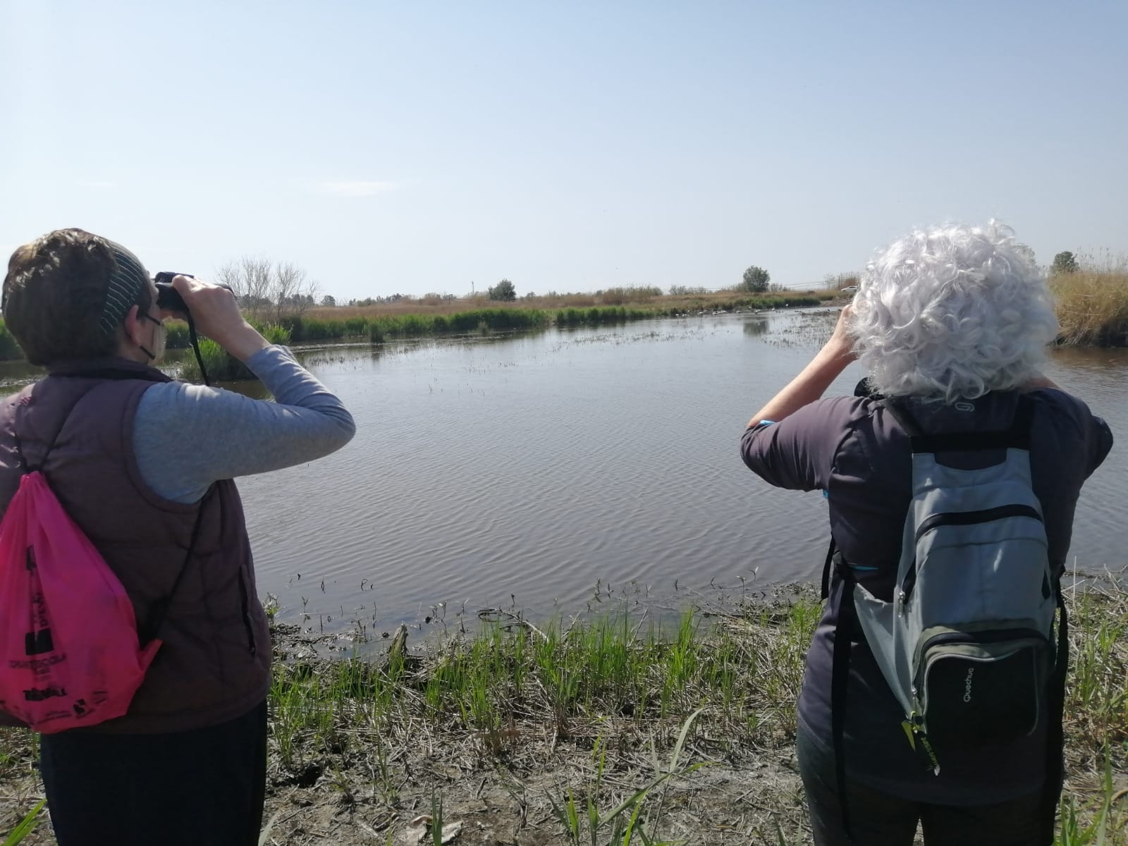  Els estanys i marjal d'Almenara acullen una matinal d'observació d'aus