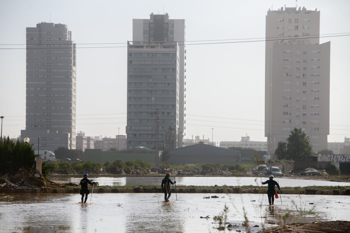 La vida después de la dana: la agricultura