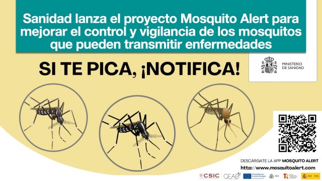 Sanidad recomienda usar la 'app' 'Mosquito Alert' para controlar el aumento de mosquitos tras la Dana