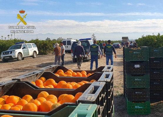 Un decena de investigados en la Región por delitos contra los derechos de los trabajadores 