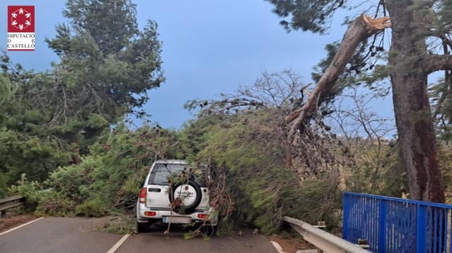 Los Bomberos efectúan 33 actuaciones durante este viernes causa del temporal de viento 'Hortense'