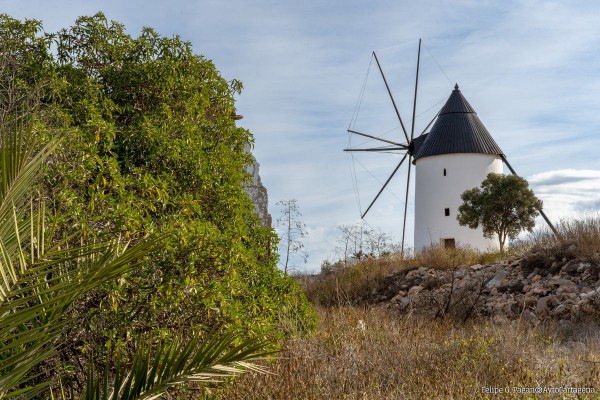 Cartagena pone en valor sus molinos como seña de identidad: terminan las obras de rehabilitación del Ayuntamiento