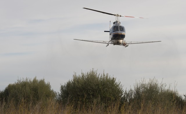 La Diputación activa vuelos de fumigación en las zonas de marjal para evitar mosquitos tras las lluvias