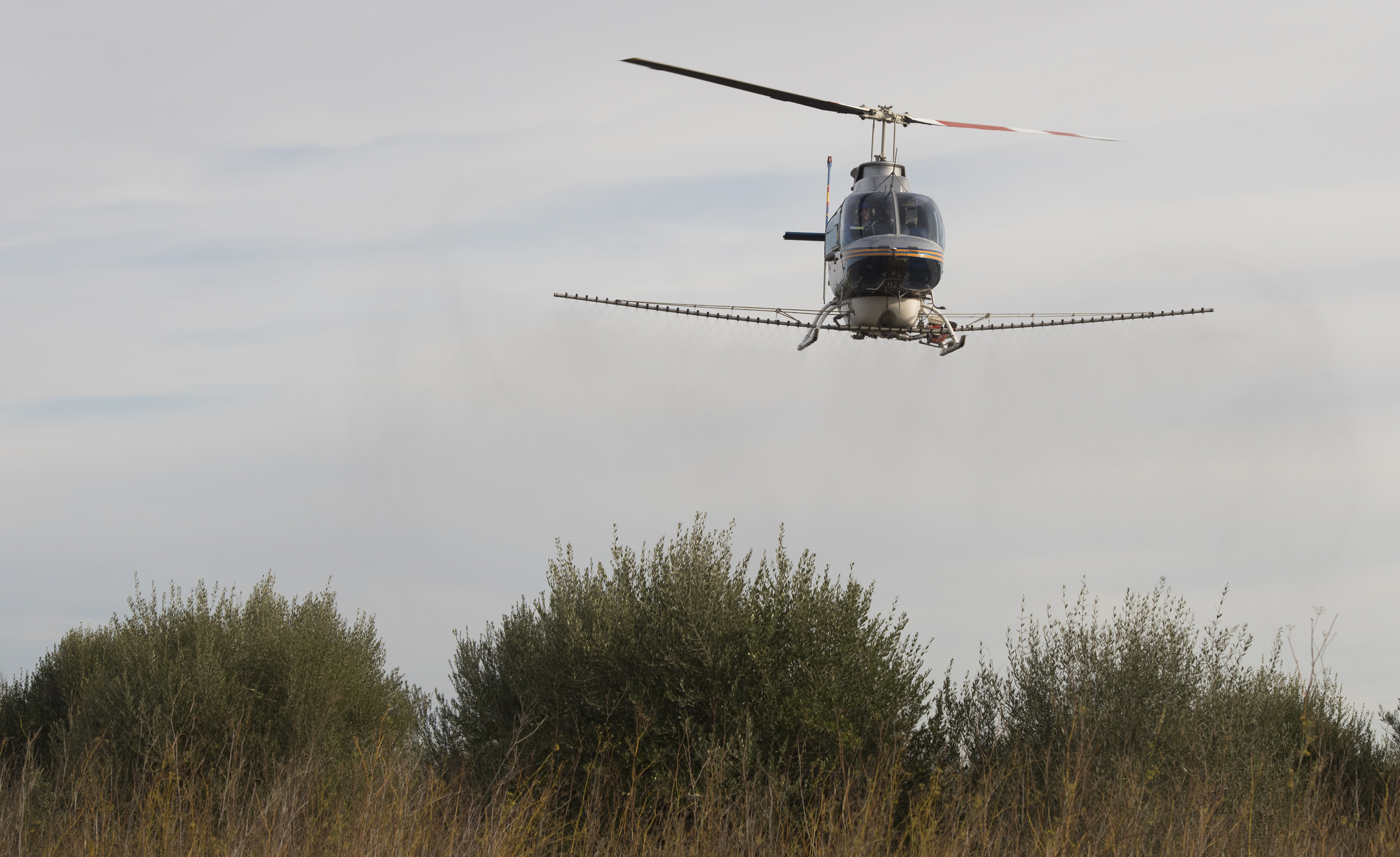 La Diputación activa vuelos de fumigación en las zonas de marjal para evitar mosquitos tras las lluvias