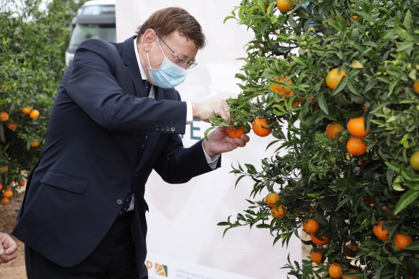 El sector citrícola exhibe unidad para animar al consumo de fruta autóctona frente a la sudafricana