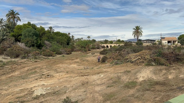 El Ayuntamiento de Elche inicia las labores de limpieza en el barranco de los Arcos