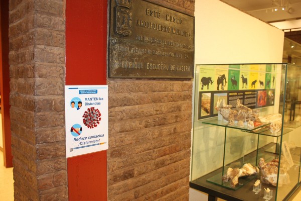 El Museo Arqueológico municipal de Cartagena se pone a punto para abrir el 2 de junio