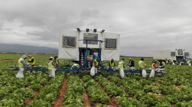 Sindicatos y Proexport piden protección para los trabajadores del campo
