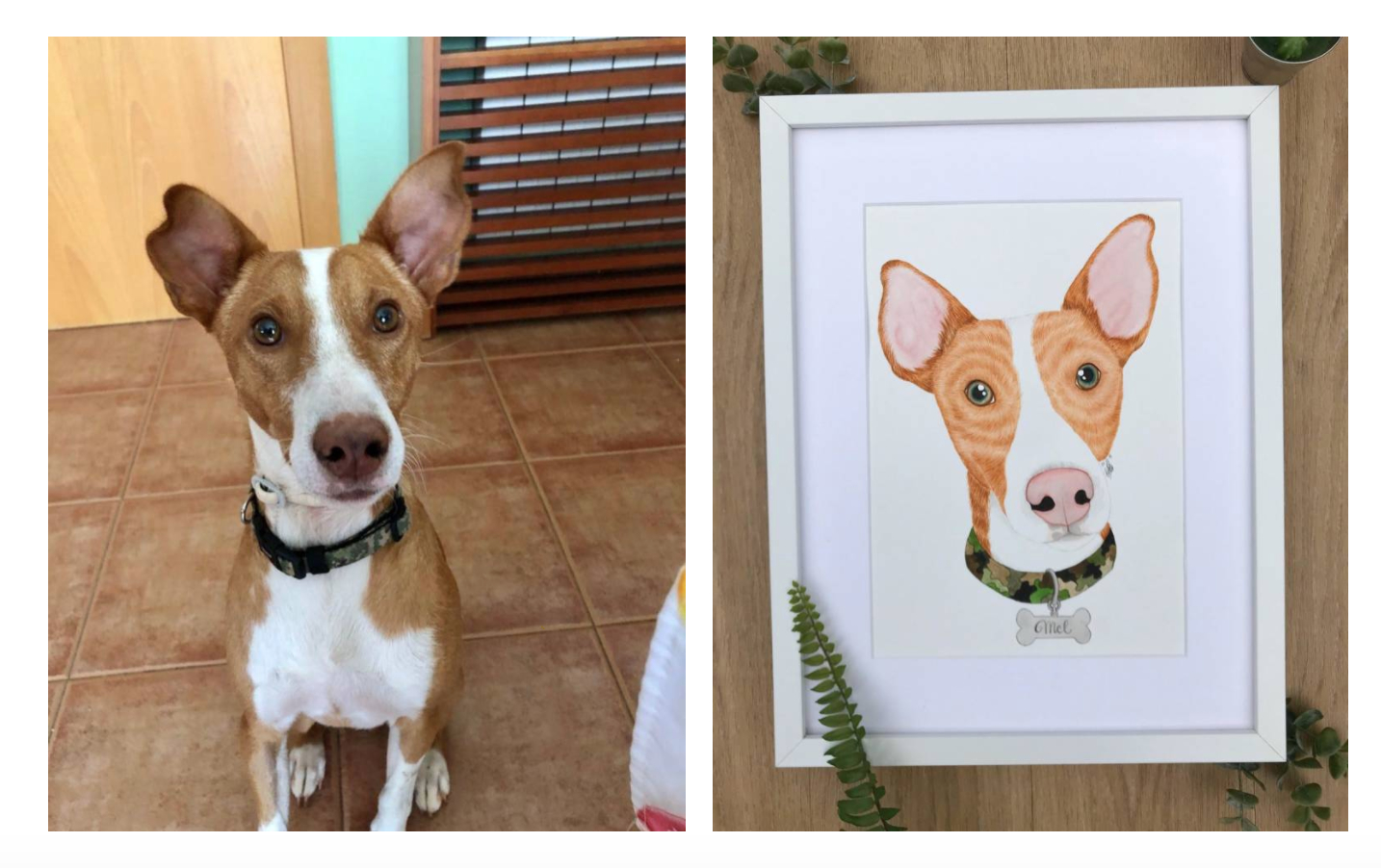 Ilustraciones que retratan el amor por los animales