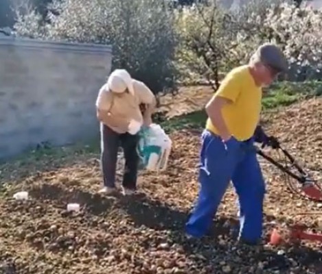 La agricultura se reconvierte con la crisis del coronavirus: nuevas variedades de hortalizas