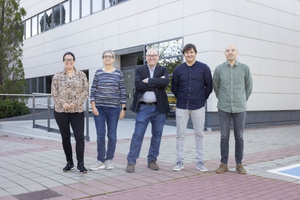 La UJI lidera un proyecto europeo para reducir el coste de la producción de hidrógeno verde