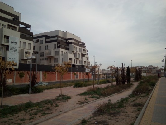 Y se hizo la luz en el corazón de El Palmar... tras doce años de espera y lucha vecinal