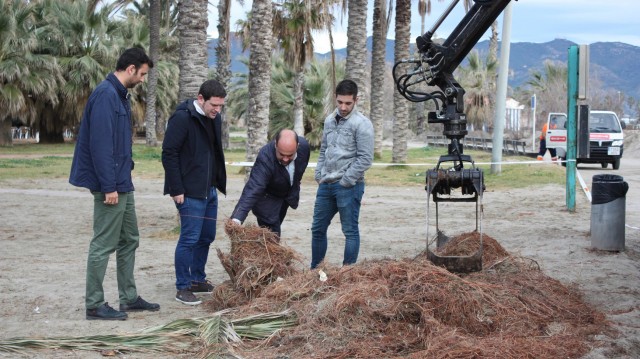 Castelló inicia las labores de limpieza y trabaja para acondicionar el litoral antes de Pascua