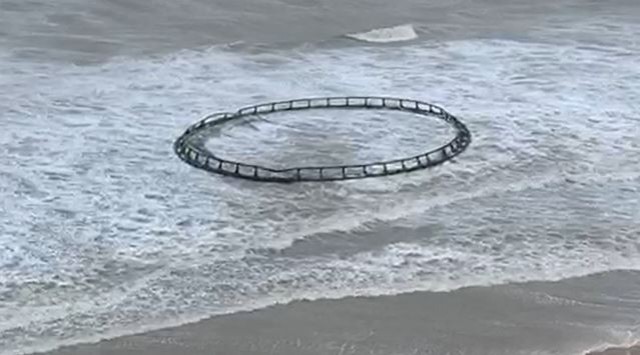 Borrasca 'Gloria': Centenares de peces de una piscifactoría de la empresa aguileña Culmarex terminan en un aparcamiento de Valencia
