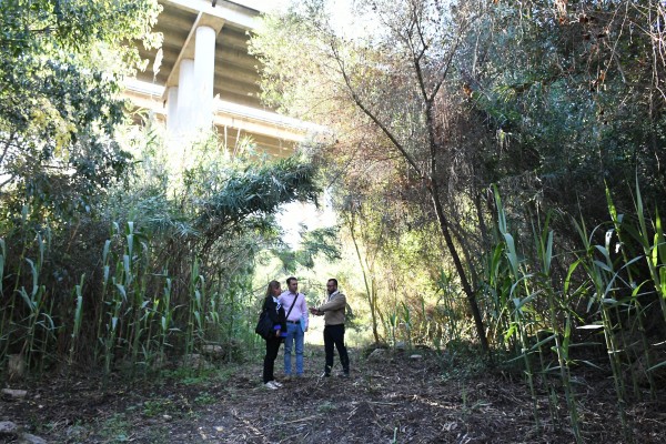 Vila-real regenera el Molí Paquero para preservar la biodiversidad en este enclave del Millars           