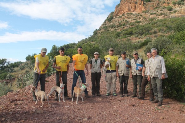 Almenara hace historia con el VI Campeonato de España de podenco andaluz y maneto