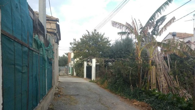 Burriana aprueba el proyecto y busca una empresa para reordenar la zona residencial de playa 