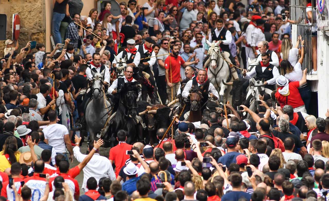 Segorbe disfruta de una sexta Entrada de Toros y Caballos tras cancelarse este viernes por la lluvia