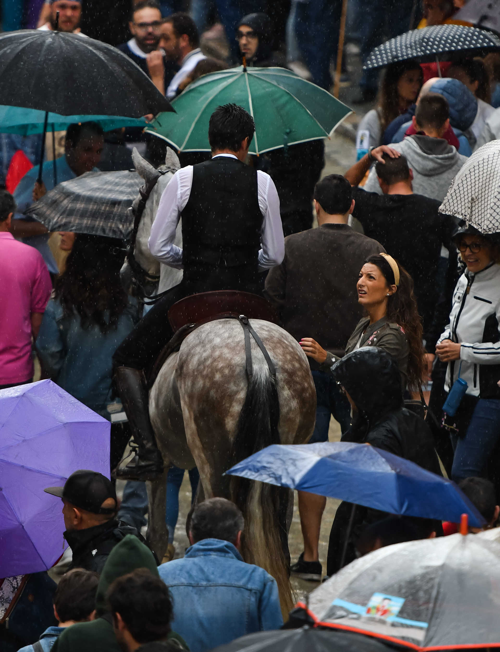 La lluvia obliga a suspender la quinta Entrada de Toros y Caballos de Segorbe