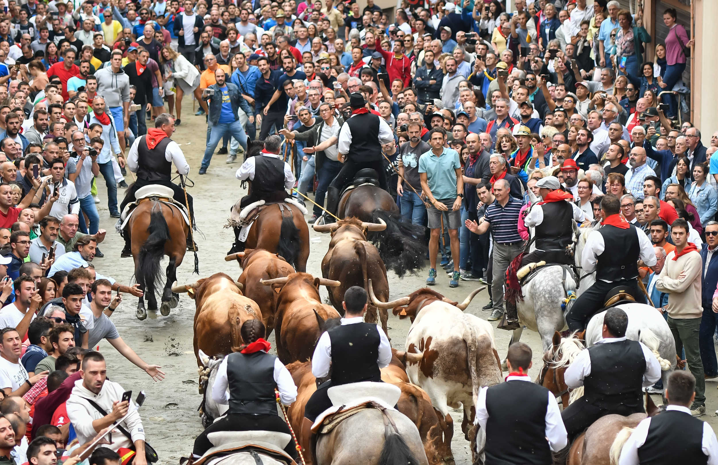 Lesionado un jinete al caer de la montura en la cuarta Entrada de Toros y Caballos de Segorbe