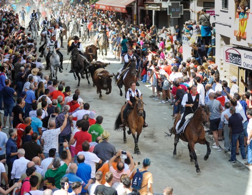 La segunda Entrada de Toros y Caballos, muy rápida y sin incidentes, salvo algún varetazo