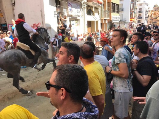 Segorbe da el pistoletazo de salida a sus tradicionales Entradas de Toros y Caballos