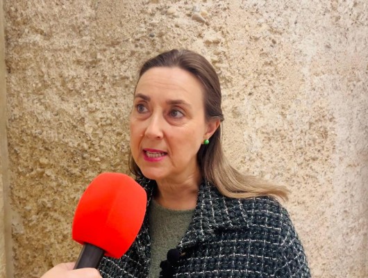 El PSOE de Elche propone que parte del dinero de los distritos se destine a los afectados por la Dana