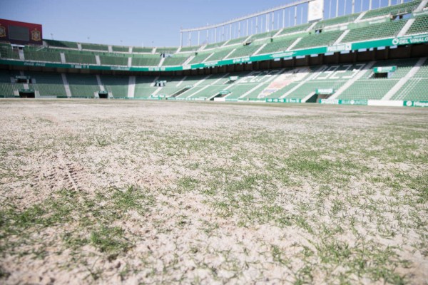 El nuevo verde del Martínez Valero vence la timidez
