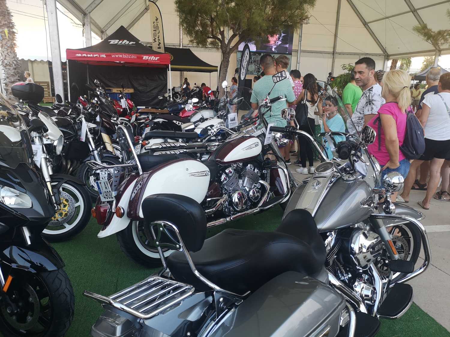 El Almenara Motor Festival arranca fuerte con los primeros conciertos y la zona de 'food trucks'