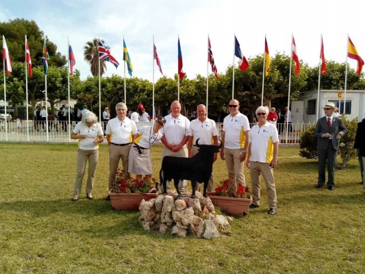 52 pilotos de 14 países luchan hasta el domingo en el aeroclub por el mundial de vuelo de precisión