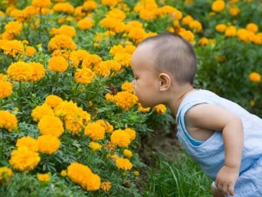El contacto con entornos naturales en la infancia beneficia a la salud mental de adultos
