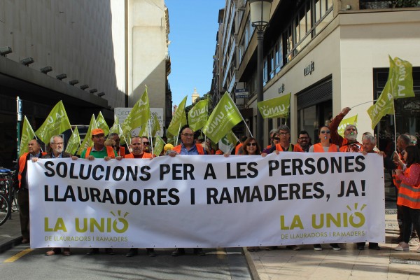 Cerca de mil personas de la Unió piden en València al Gobierno ayudas directas para el sector primario