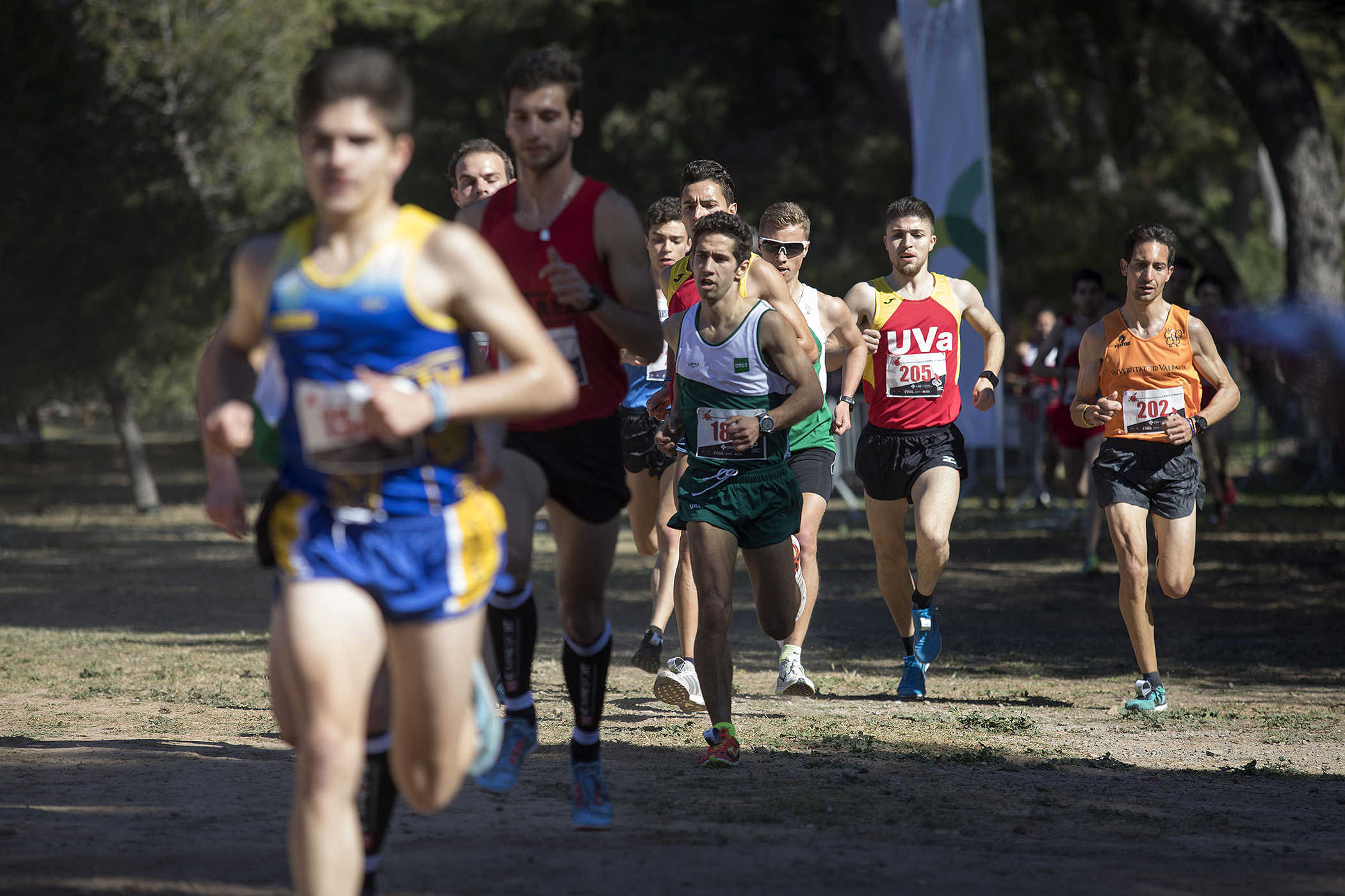 El cross inaugura los Campeonatos de España Universitarios 2019 en el Pinar del Grao