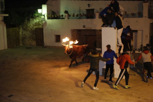 El fuego, 'els coquetes' y los 'bous' marcan el día grande de las fiestas de Sant Antoni en Orpesa