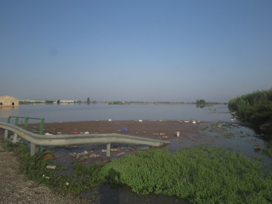 AHSA pide al Gobierno y al Consell que frene el desarrollo de Dolores Golf: está en zona inundable