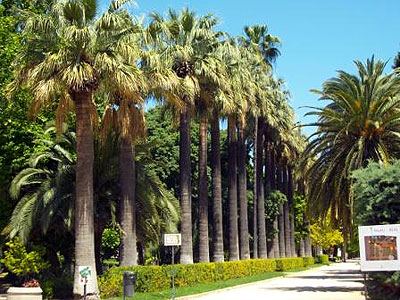 El Síndic de Greuges insta al Ayuntamiento a reparar las deficiencias de Viveros 