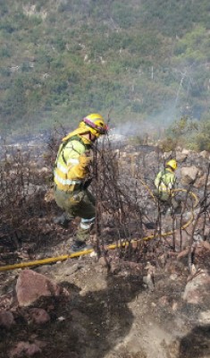 Tres nuevos fuegos declarados este domingo afectan a Adsubia, Ondara y Albaida