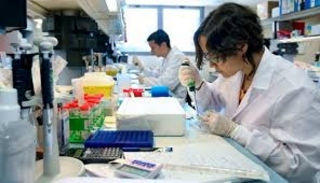 El gasto en I+D subió un 1,3 % en la Comunitat Valenciana en 2014