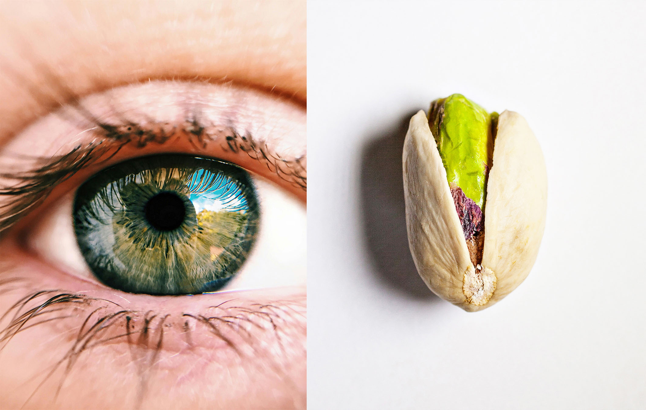 Comer pistachos es bueno para los ojos, según un nuevo estudio

