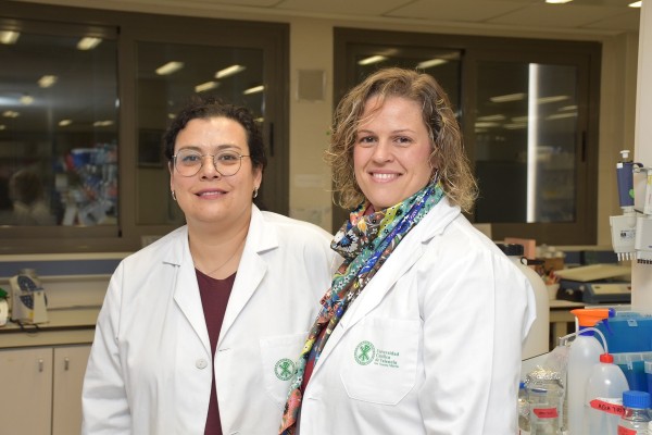 Un estudio revela el impacto de las bebidas energéticas en el deterioro de la salud dental de los atletas aficionados
