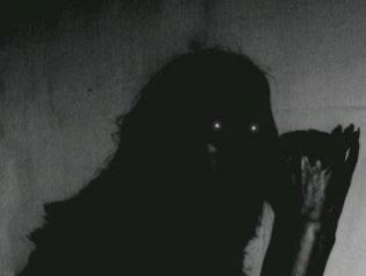 He visto una sombra en mi habitación