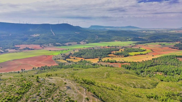 Los 25 macroproyectos fotovoltaicos en el Valle de Ayora llegan a Europa tras denuncias ecologistas 